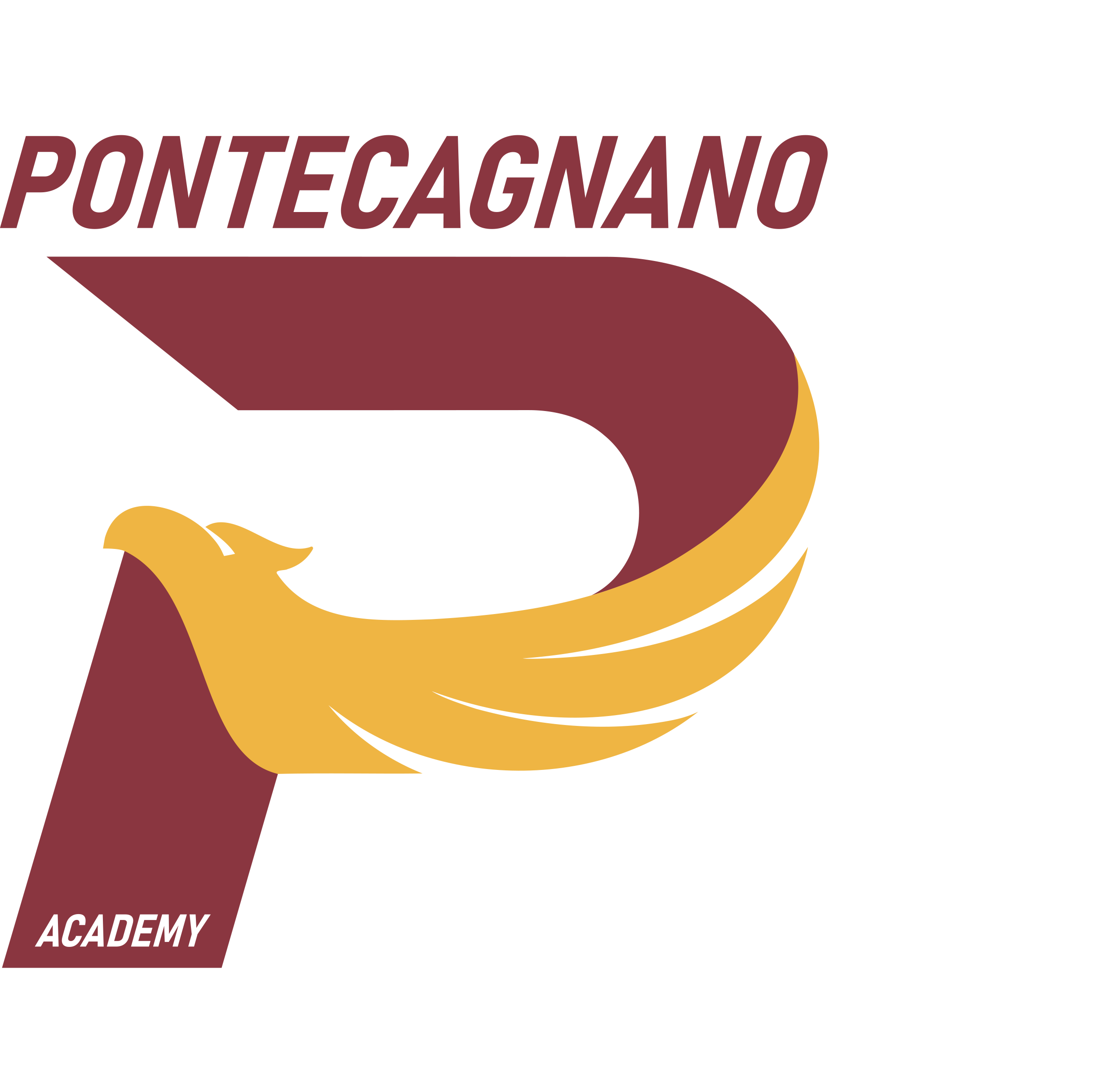 PONTECAGNANO ACADEMY