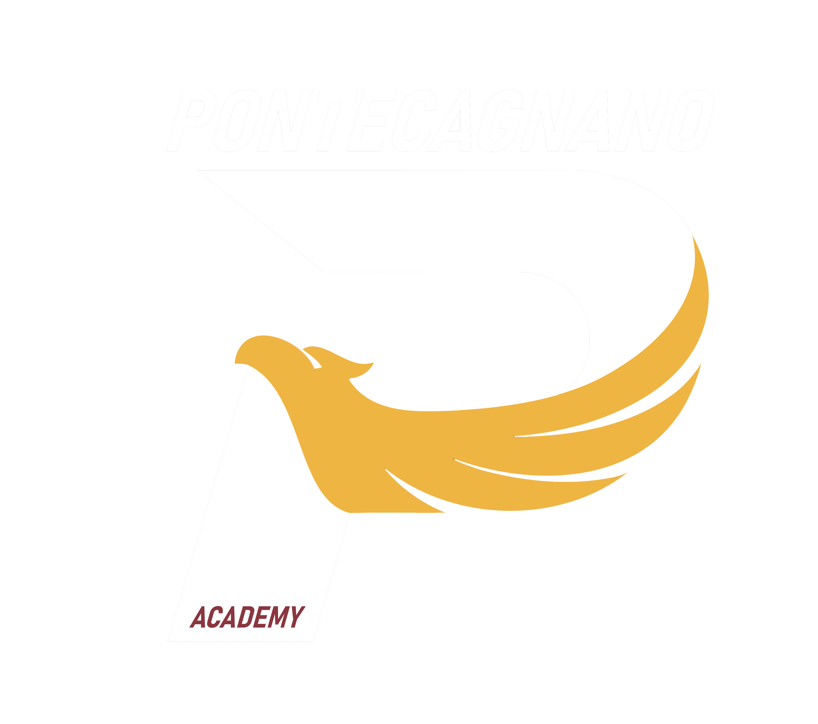 PONTECAGNANO ACADEMY