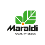 LOGO MARALDI PNG