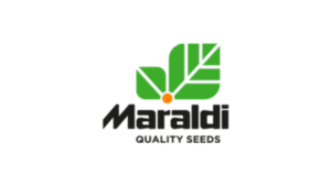 LOGO MARALDI PNG